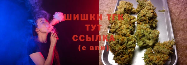 гашик Алексин
