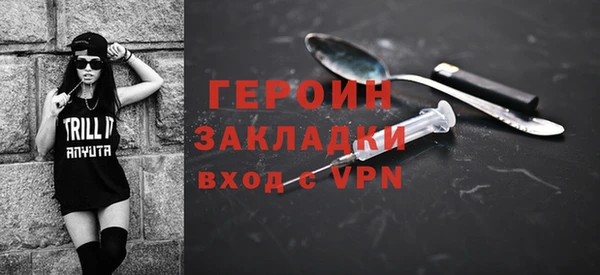 гашик Алексин