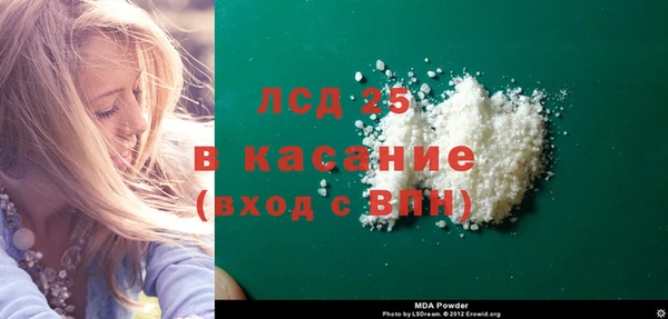 индика Алзамай