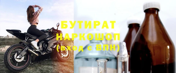 гашик Алексин