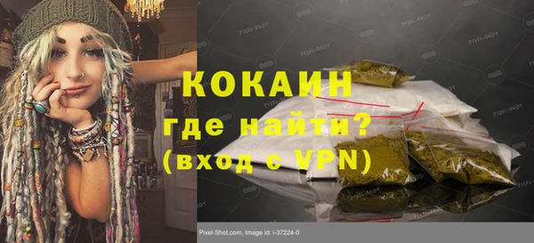 индика Алзамай