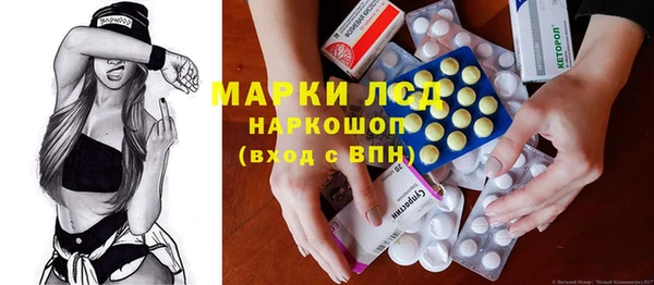 индика Алзамай