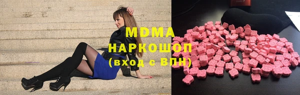 гашик Алексин